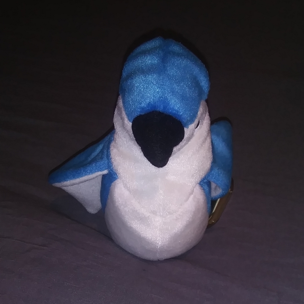 11 TY Beanie Babies.